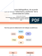 Pautas para La Realización de Citas y Referencias