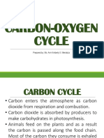 Biogeochemical Cycle - Phosphorus Cycle