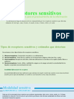 Receptores Sensitivos 2