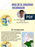 La Economia Del Amazonas..2