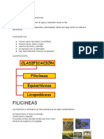 Resumen para Examen 2 de Farmacobotanica