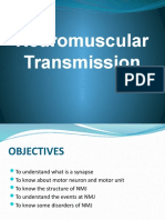 Neuromuscular Transmission