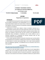 Informe E. Caso