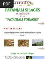 01 Patanjali Forages Silage Business PlanPPT Final-1