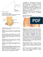 Resumo reprodução-TRABALHO BIOLOGIA RAFA