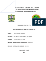 Informe de Semillas Forestales