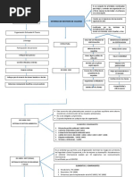 Mapa Conceptual SGC PDF