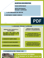 Lesiones Típicas, Atípi, Planos Topográficos