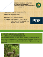 Monitoreo de Fauna Silvestre