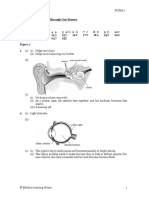 SC F2 - Answers