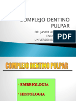 Complejo Dentino-Pulpar