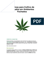 Tecnicas para Cultivo de Cannabis em Ambientes Fechados