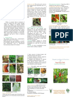 Plant Protection Measures: Trichoderma Harzianum Will Prevent Not