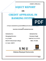 A Project Report On Credit Appraisal PDF