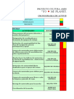 Cronograma Actividades