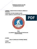 El Amparo Como Sistema de Protección Constitucional