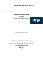 Análisis de Casos Sobre Problemas de Dirección