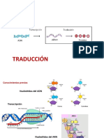 4A BIOLOGÍA Clase Traduccion Del ARN