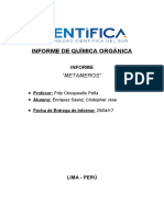 Informe - Metamero