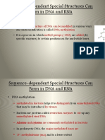 Sequence-Dependent Special Structures Can Form in DNA and RNA