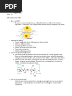 Taller Matriz Extracelular