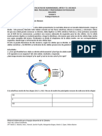 TP 6 Mitosis y Meiosis 2019 PDF