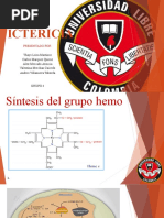 Ictericia Taller 1 y 2