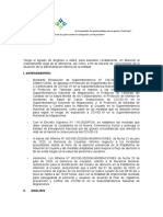 Informe Sobre Delegacion de Facultades