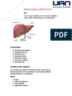 Semiologia Hepatica