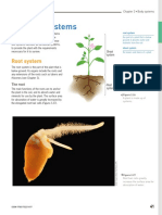 Plant System and Activity Sheet