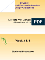 BTV3333 Bio-Based Fuels and Alternative Energy Applications: Associate Prof. Lakhveer Singh