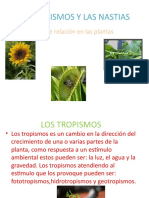 Tropismo El Propio