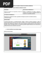 Formato Peligros Riesgos Sec Economicos