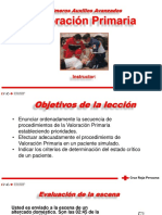 Ppaa 2019 Valoracion Primaria PDF