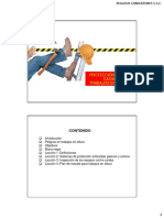 Seguridadparatrabajosenaltura PDF