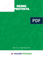 Reino Protista: Módulo 4 - Microbiologia