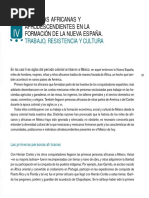 Personas Africanas y Afrodescendientes en La Formación de La Nueva España. Trabajo, Resistencia y Cultura