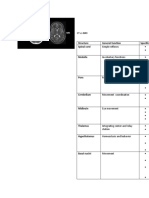 CT Vs Mri: Structure General Function Specific Functions Spinal Cord