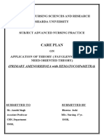 Application of Theory (Fayglenn Abdellah's Need Oriented Theory)