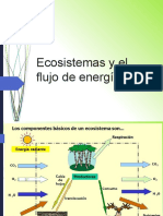 Flujo de Energía