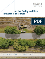 RiceReport - Full Report - Final PDF