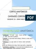 Terminos, Cavidades y Cortes Anatomicos