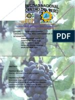 Elaboracion de Vino Tinto A Partir de Uvas Negras''