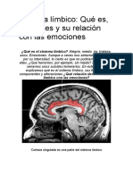 Sistema Límbico Es El Encargado de Nuetras Emociones