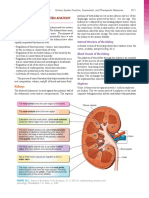 Understanding Medical Surgical Nursing - 0849-0849