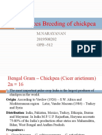 Advances Breeding of Chickpea