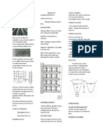 Ridge and Furrow Irrigation