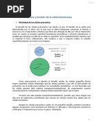 Tema 2 Estructuras y Función de La Célula Procariota