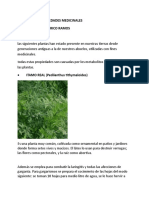 Plantas Medicinales Jhonatan Rico