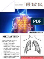 Anatomia Clase de Anatomía Mediastino